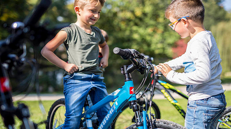 Unleash Speed and Durability: The Ultimate Guide to Carbon Fiber Bikes.